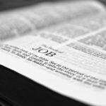 teaching jobs, kpk jobs, lecturer jobs, shaheed benazir bhutto, university teachers, jobs in peshawar