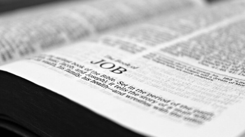 teaching jobs, kpk jobs, lecturer jobs, shaheed benazir bhutto, university teachers, jobs in peshawar